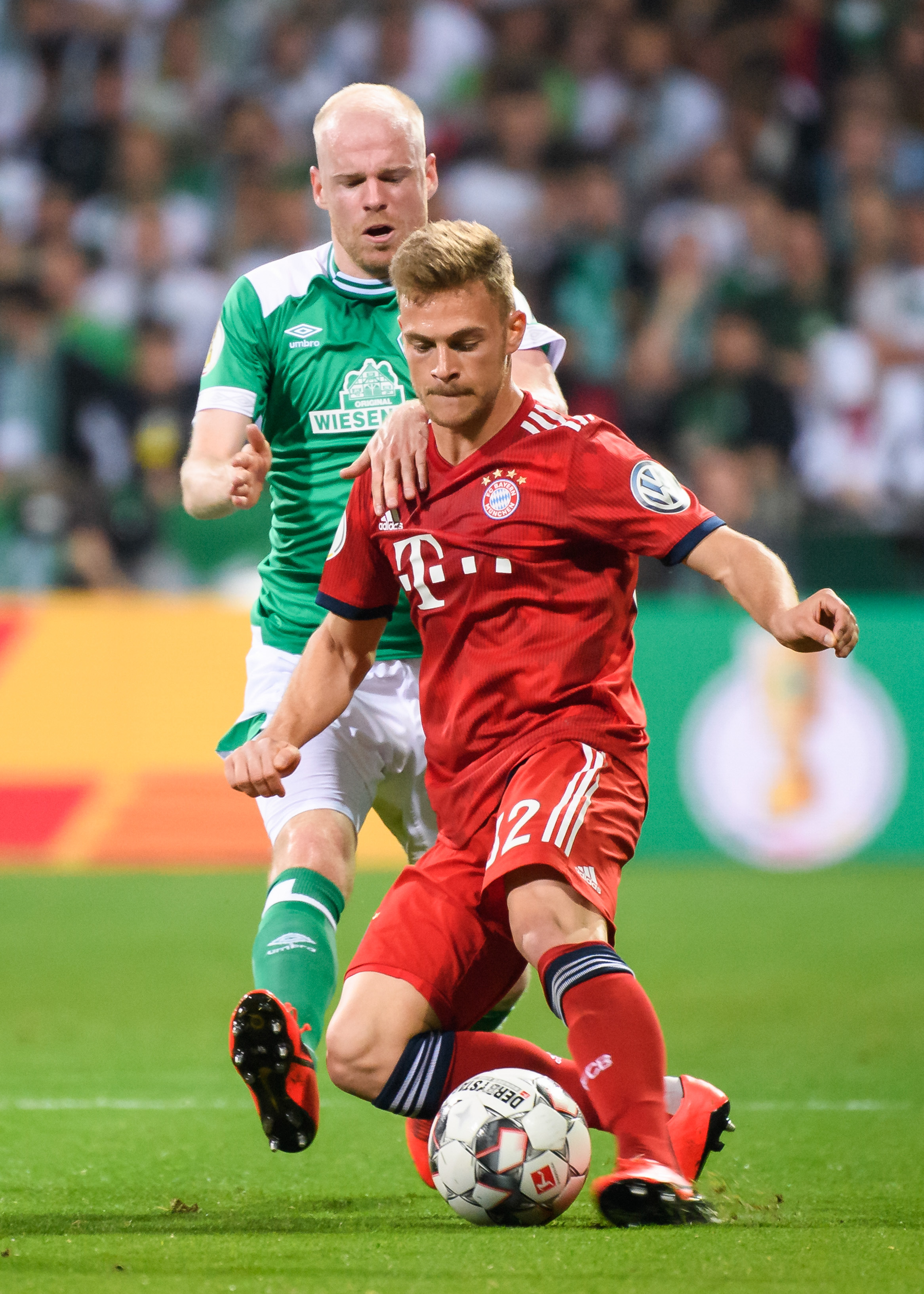 总导演与其 总导演与其