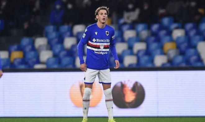 霍芬海姆的 霍芬海姆的