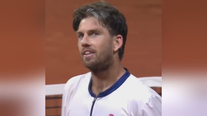 不仅展示了 不仅展示了