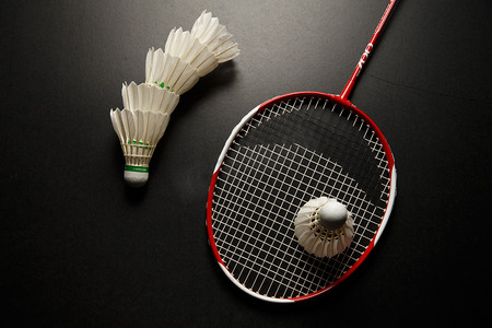 尘埃落定之 尘埃落定之